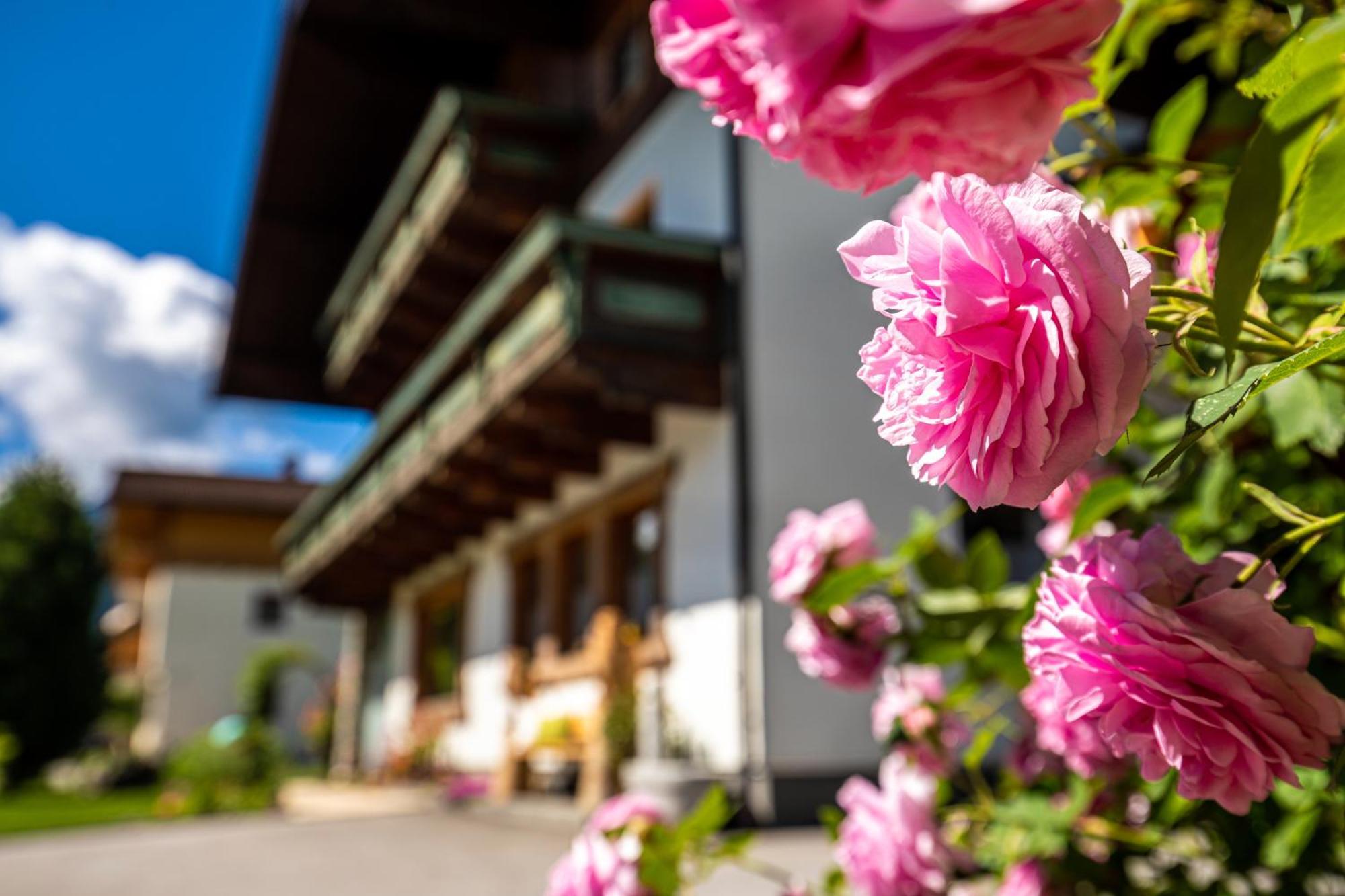 Holiday Im Gaestehaus Warter In Altenmarkt Altenmarkt im Pongau Bagian luar foto