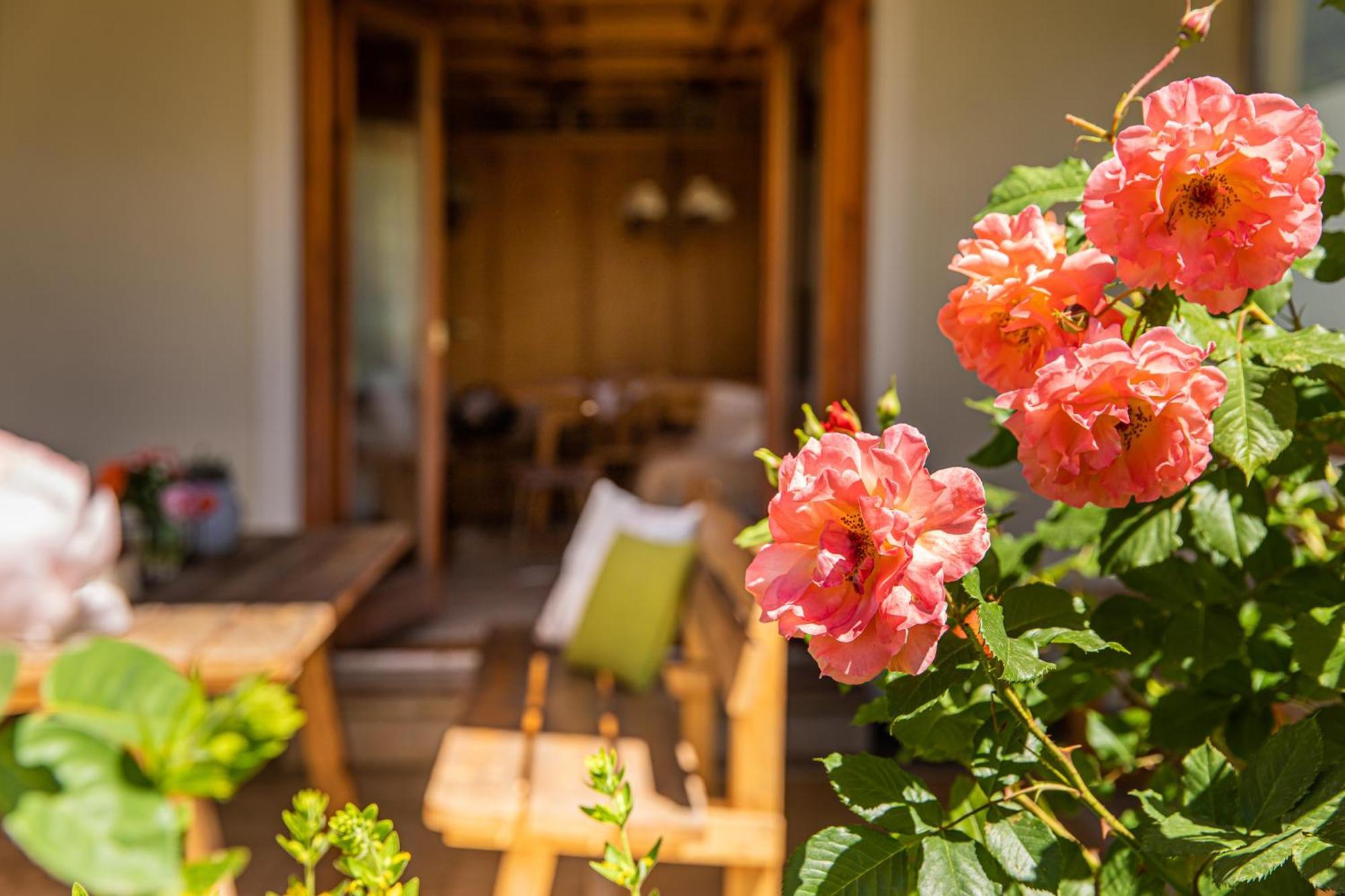 Holiday Im Gaestehaus Warter In Altenmarkt Altenmarkt im Pongau Bagian luar foto